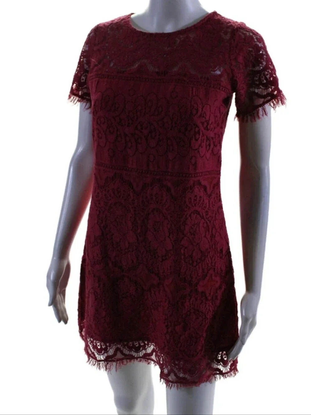 Free People Size 0 Eyelash Lace A-line Short Sleeve Mini Dress